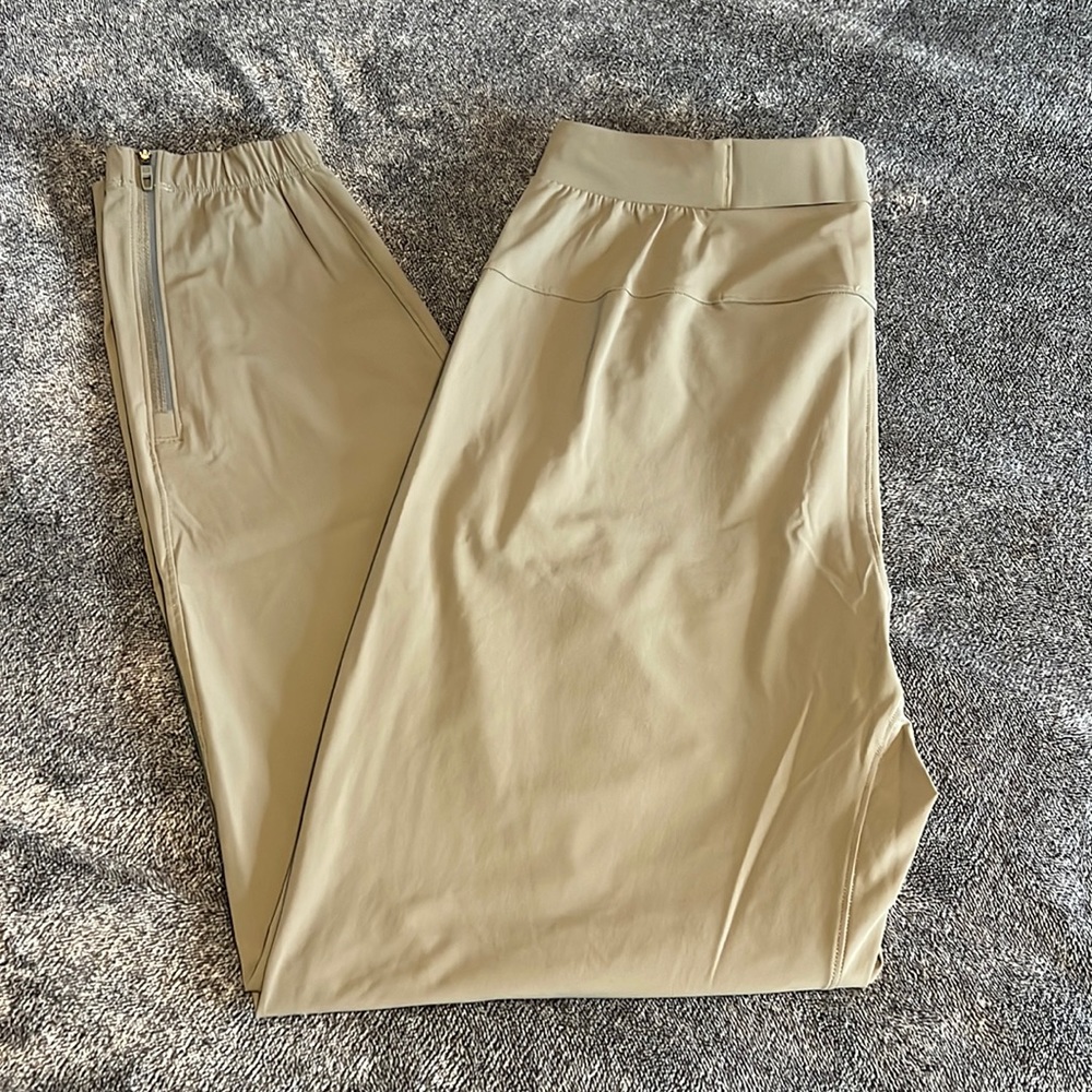Never worn Lululemon surge joggers